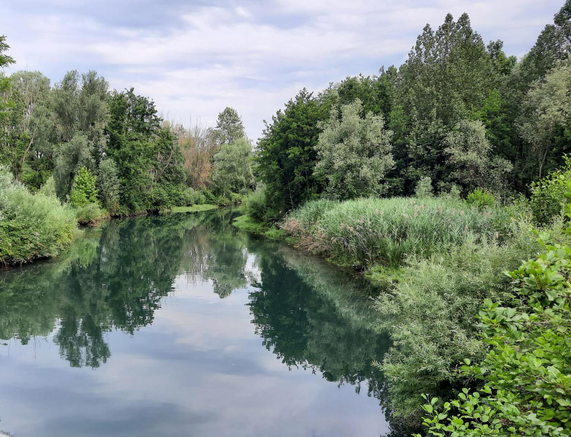 Siore Marie Gli Alloggi San Giórgio di Nogaro Buitenkant foto